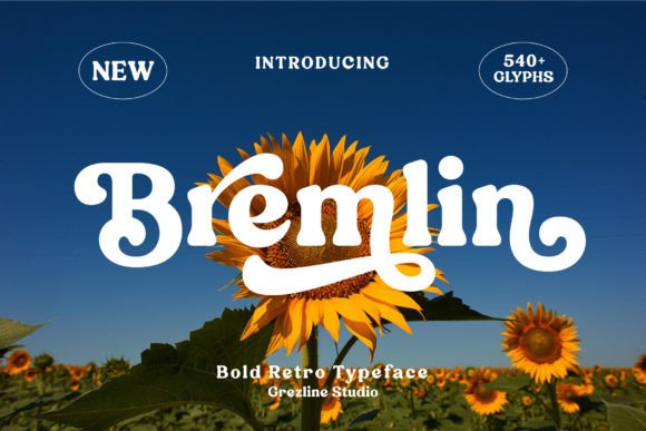Discover the Groovy Charm of the Bremlin Font
